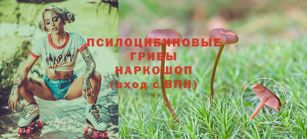 ешки Армянск