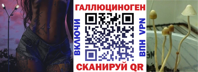 закладка  Белозерск  Галлюциногенные грибы мухоморы 